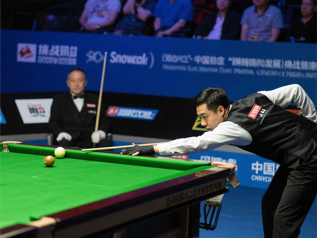 的资金支持 的资金支持